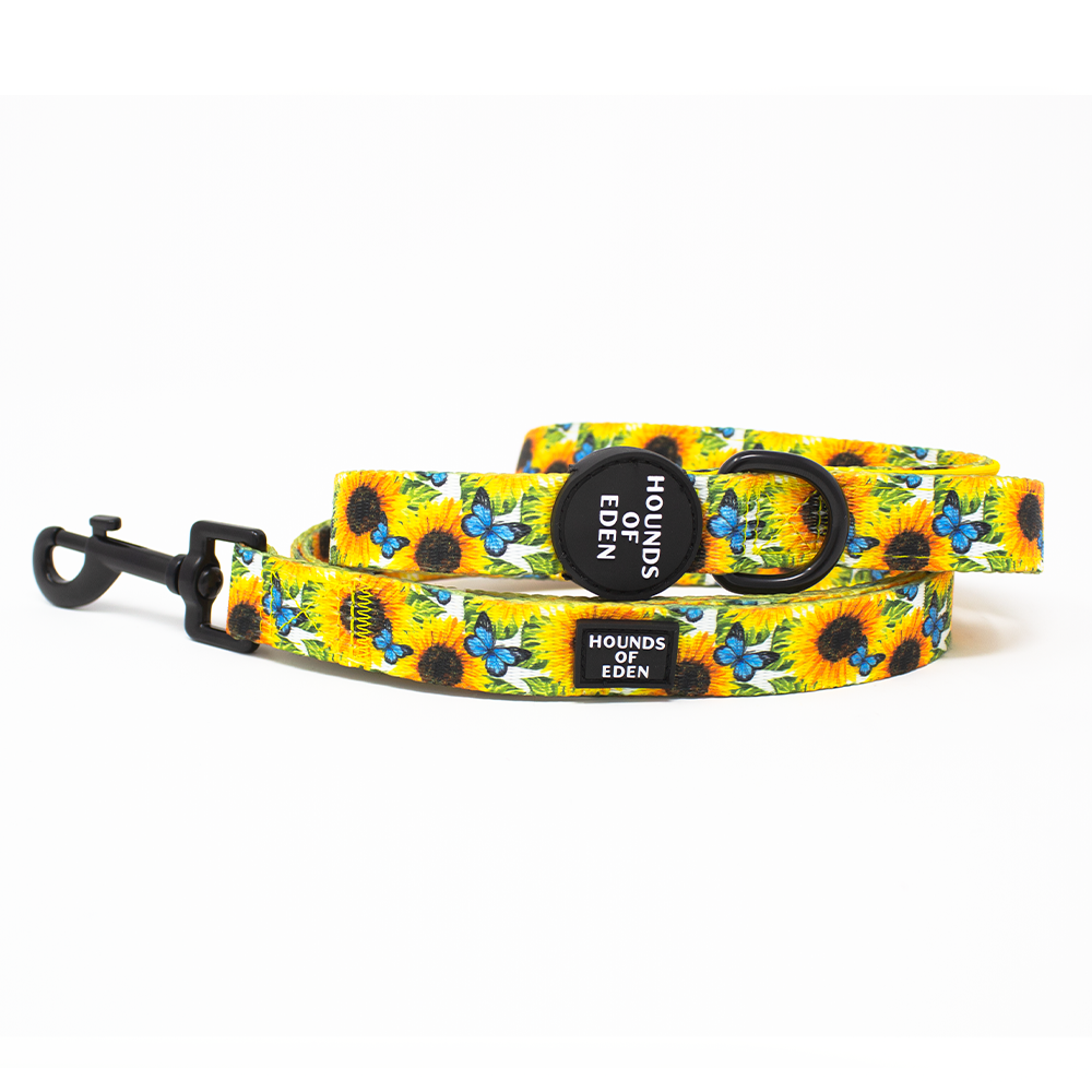 Sunflower Flutter - Yellow and Blue Dog Lead
