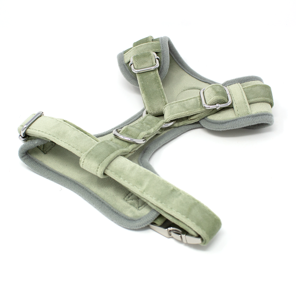 Sage Mist - Green Velvet Dog Harness with Silver Metal Hardware