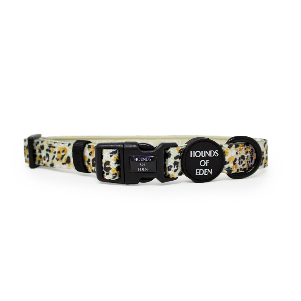 Fendi dog deals collar