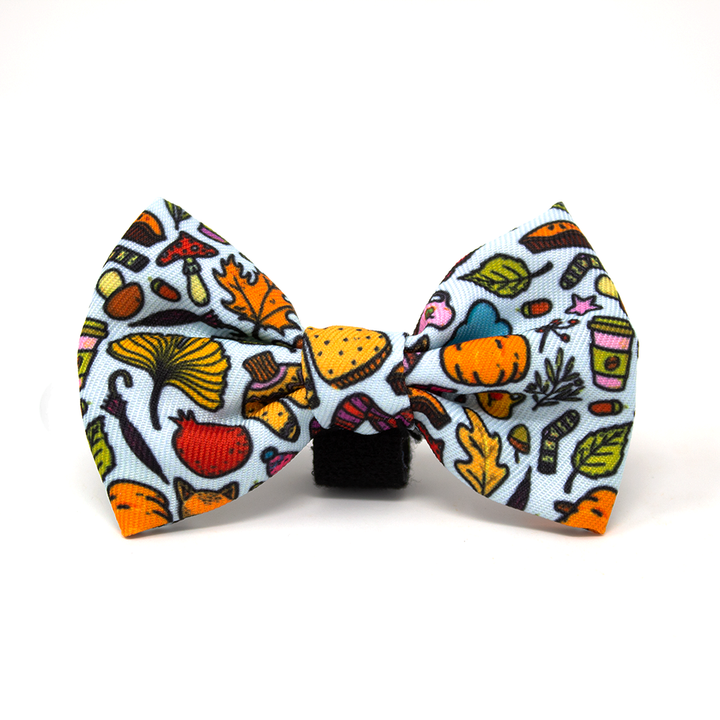 Country Pupkin - Autumnal Doodle Dog Bow Tie