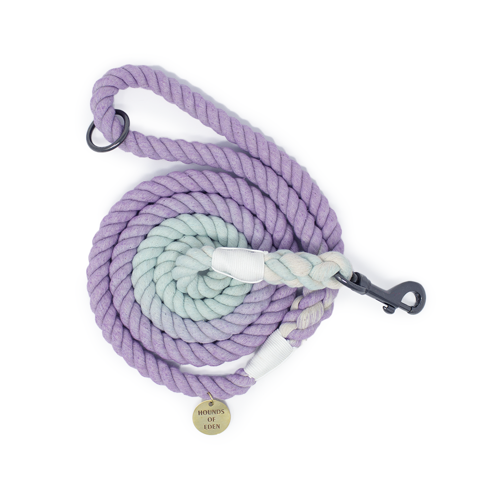 Don’t Go Barking My Heart - Pink and Teal Rope Lead