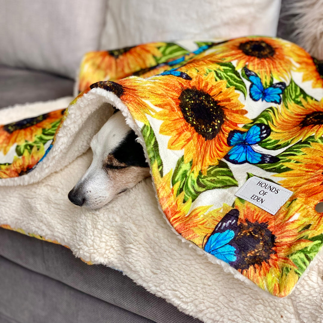 Sunflower Flutter Dog Snuggle Blanket