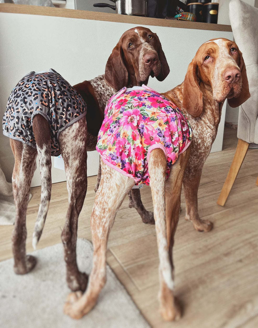 Steel Leopard' - Dog Season Hygiene Panties Steel Leopard' - Dog Season Hygiene Panties