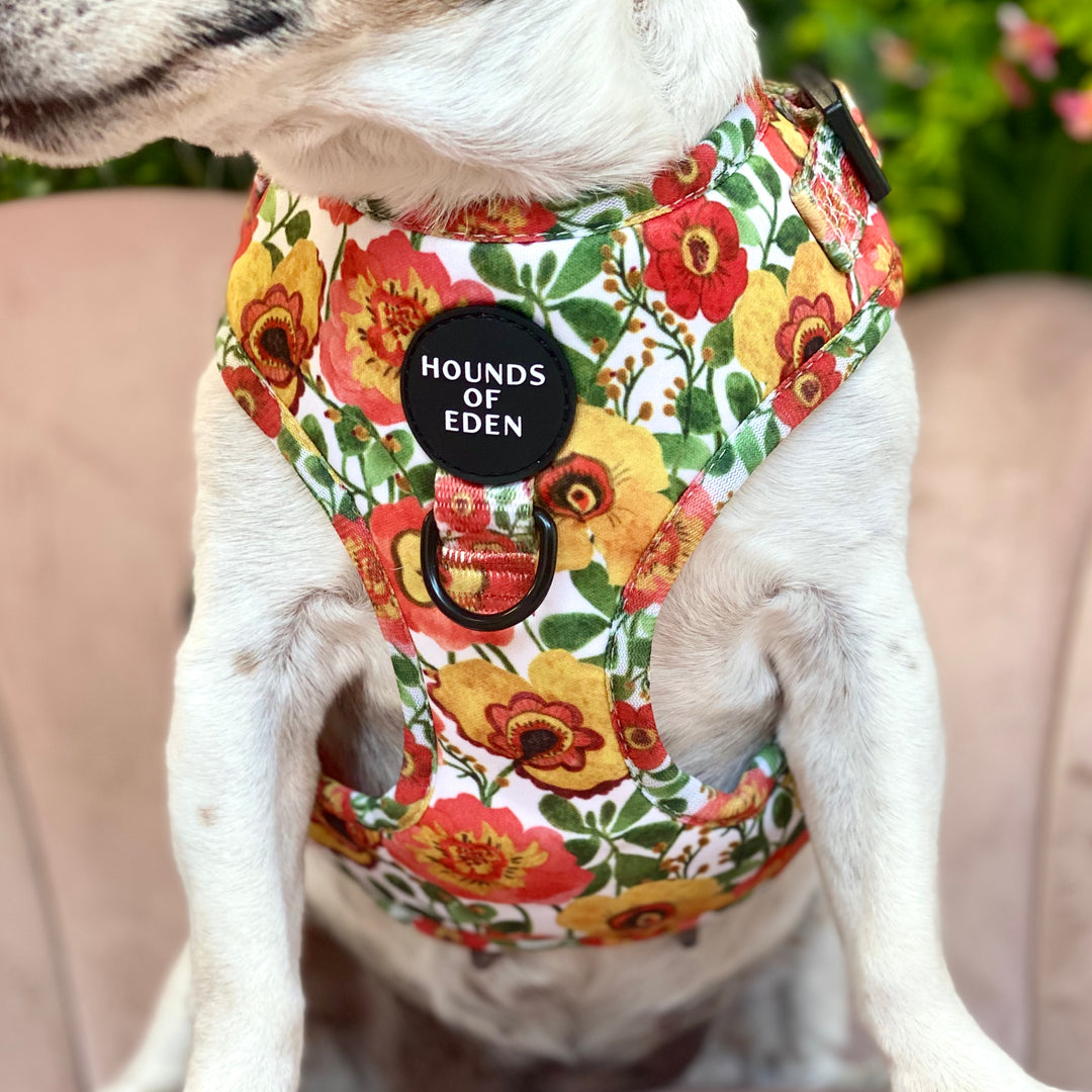 Autumn Blossom - Floral Poppy Dog Collar