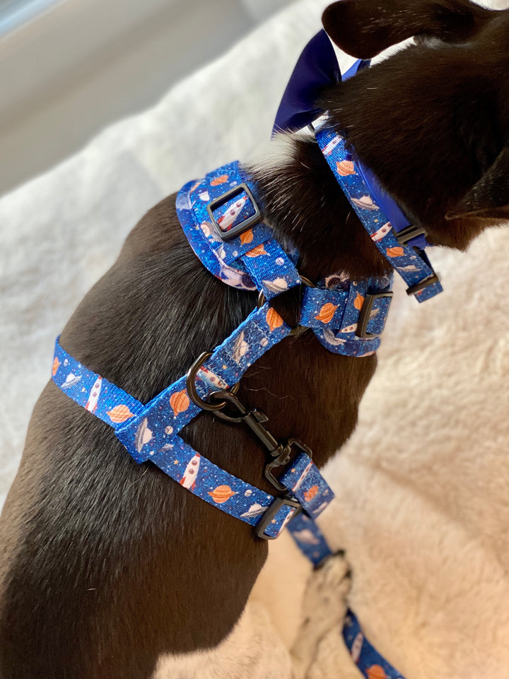 'Space Out' - Blue Starlight Space Pattern Dog Collar