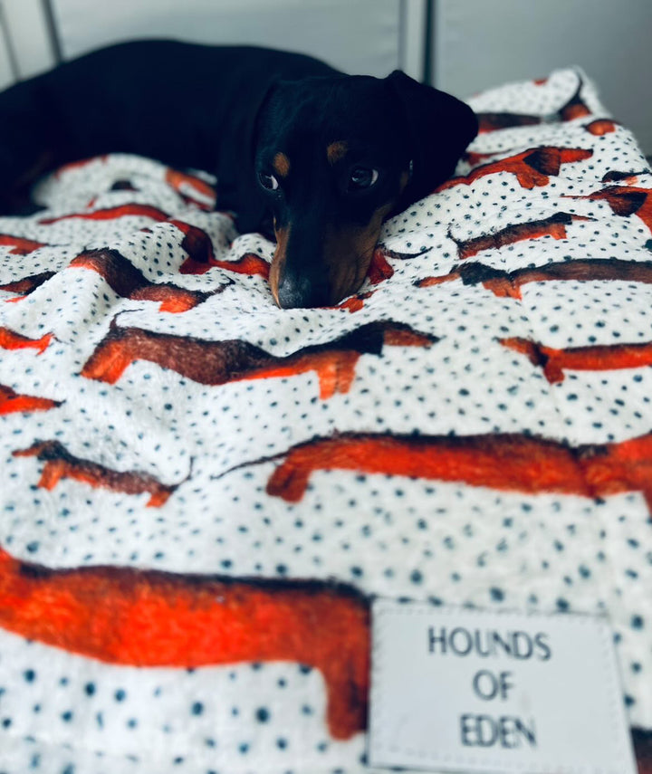 Sizzlin' Sausages Dog Snuggle Blanket