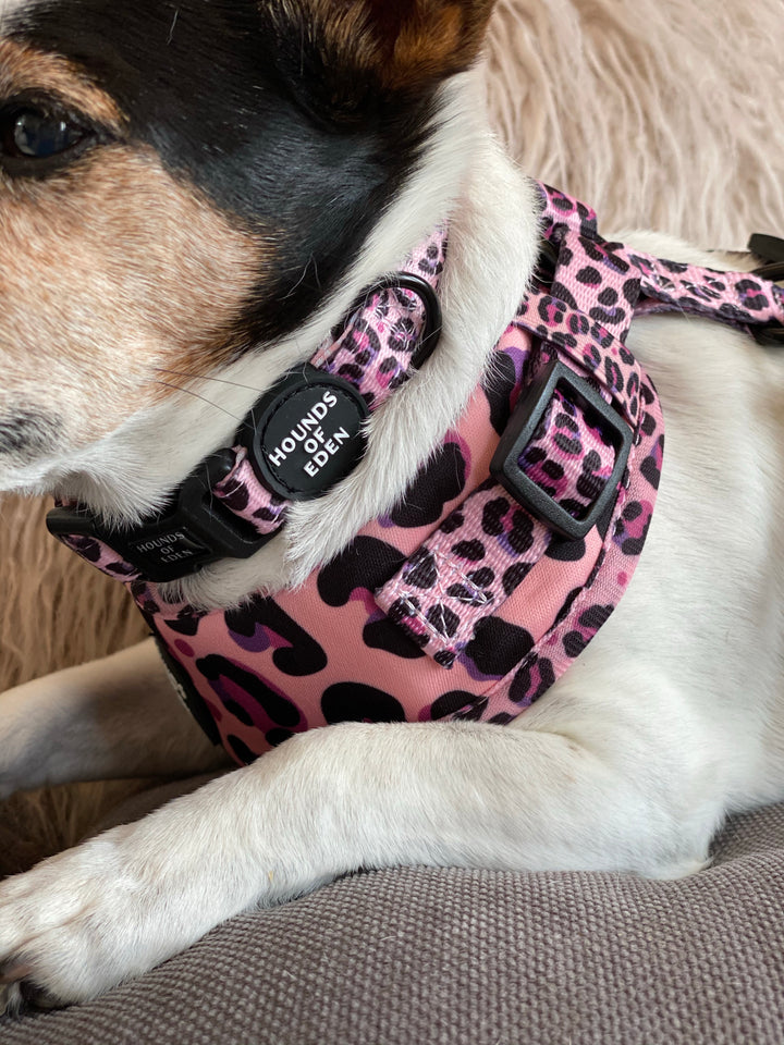 'Blushing Leopard' - Pink Dog Collar