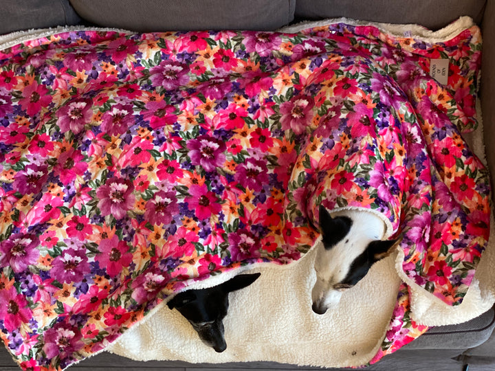 OUTLET - Bee You-tiful Dog Snuggle Blanket
