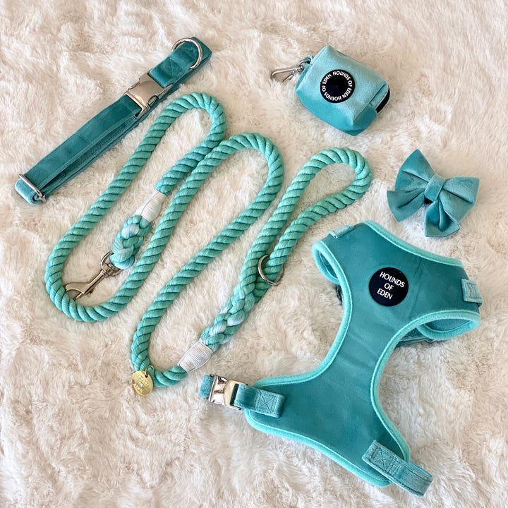 Tiffany’s - Light Teal Cotton Rope Lead - Silver Hardware