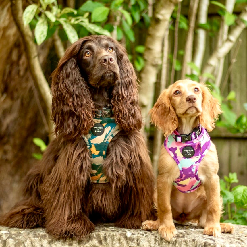 'Blush it Off' - Pink, Purple, Pastel Mint & Lemon Camo Pattern Dog Harness