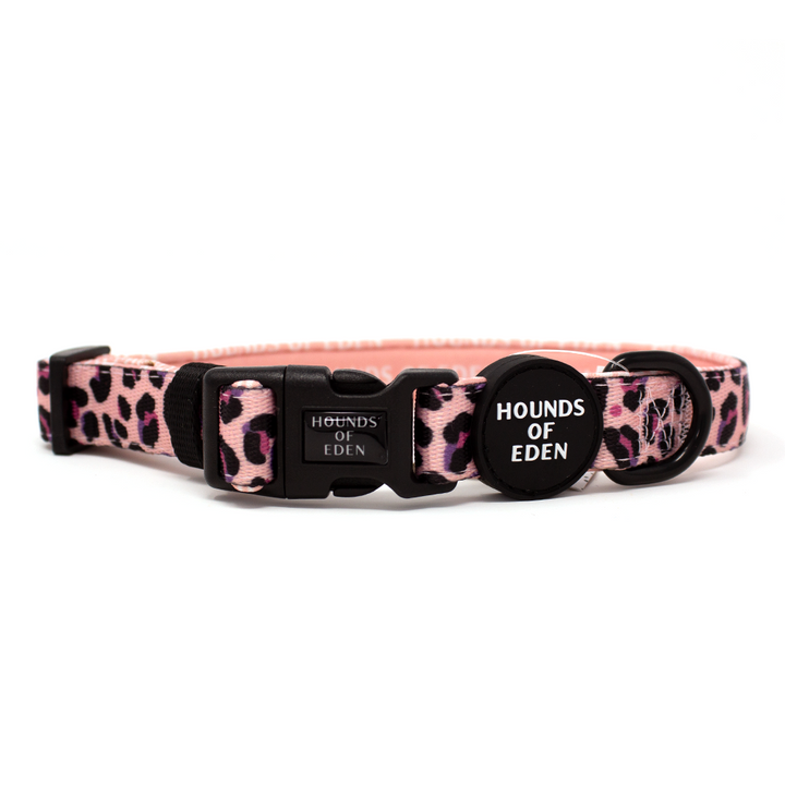 'Blushing Leopard' - Pink Dog Collar